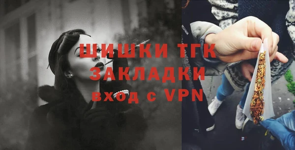 прущий лед Костерёво