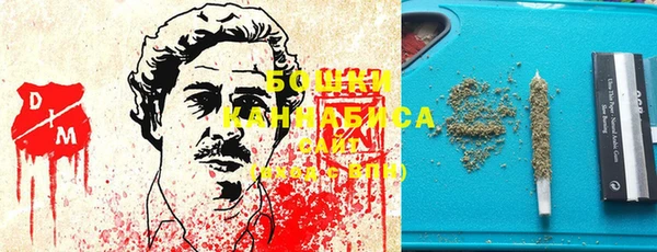 ПСИЛОЦИБИНОВЫЕ ГРИБЫ Корсаков