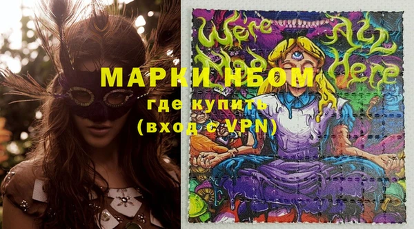 дурь Краснослободск